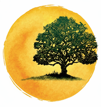 Greenlake Wellness | Mental Health Therapy in Seattle and Across Washington